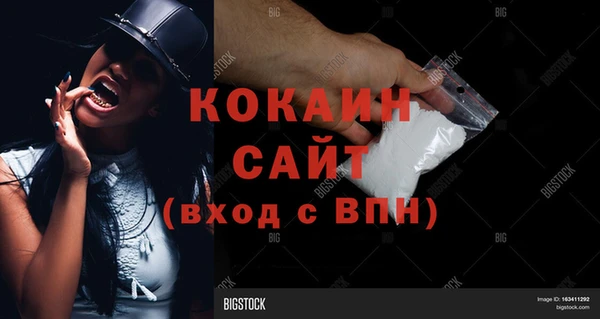 стаф Абаза